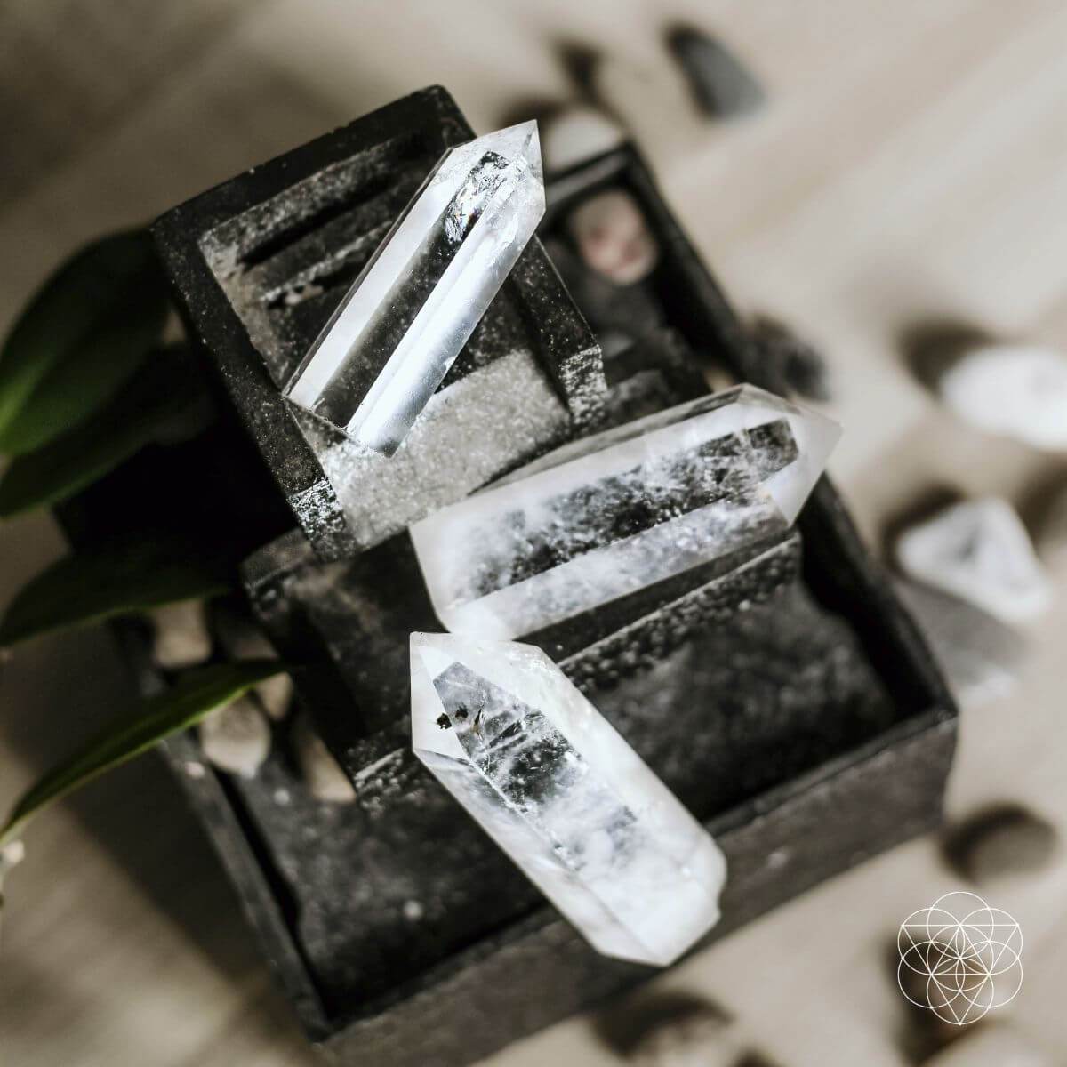 The Intention Stone - Clear Quartz Point